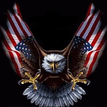 AmericanEagleFlag.jpg