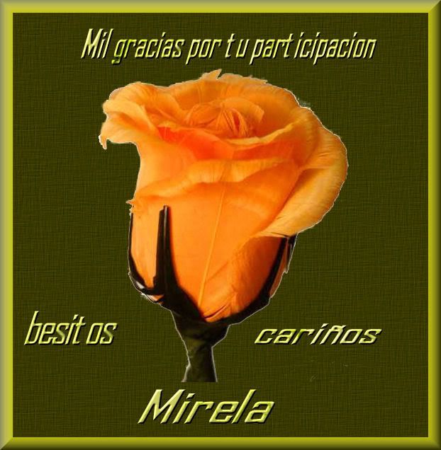 milgraciasMirela.jpg picture by silvitacaldelasdelacera