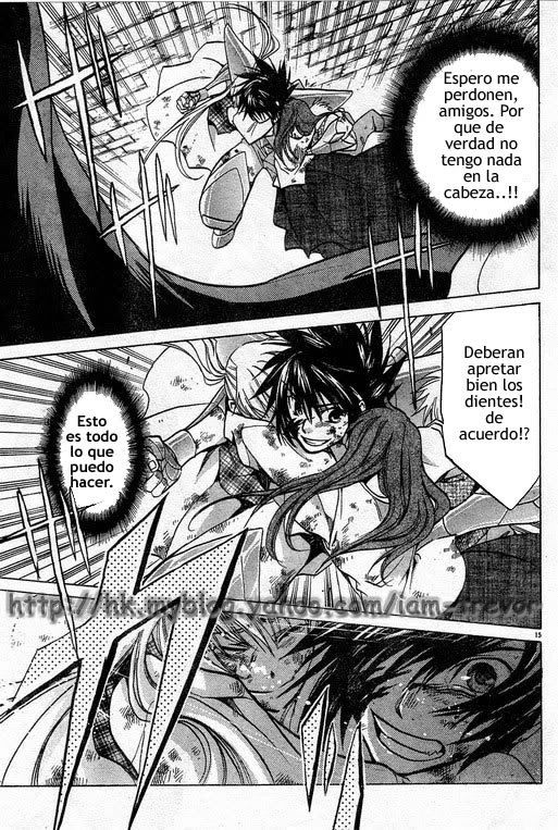 saint seiya saint seiya