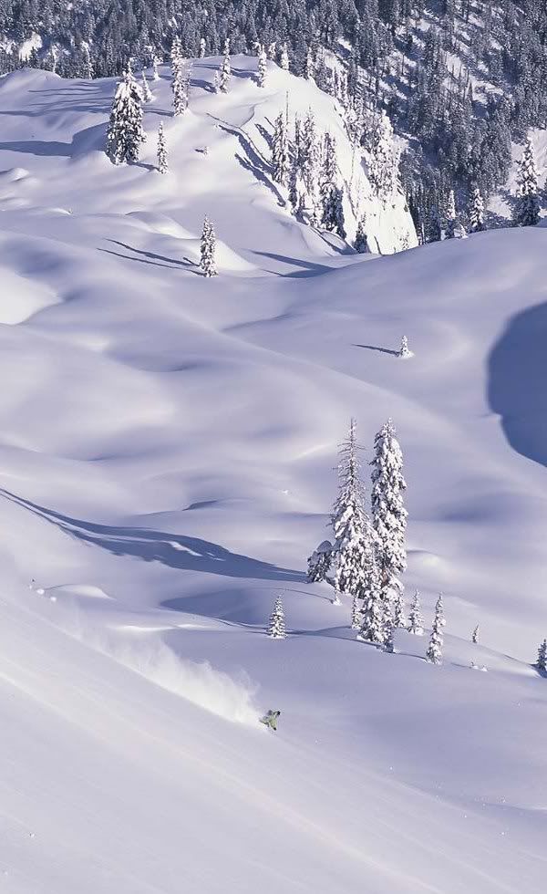 Snowcat Skiing Grand Targhee