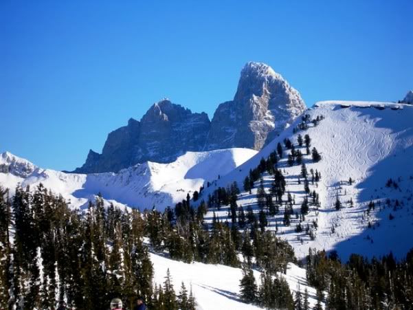 The Grand from GRAND TARGHEE