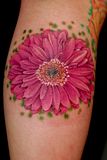 Gerbera+daisy+tattoo+designs