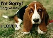 imsorryforgivemeiloveu.jpg