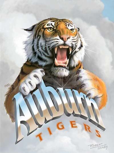 tigers Pictures, Images and Photos
