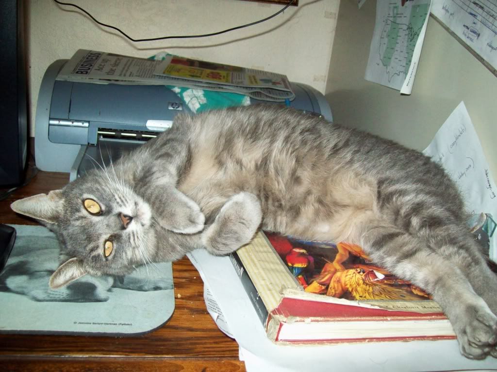 Does your Cat want to sit on your Lap while you are on the Toilet..?