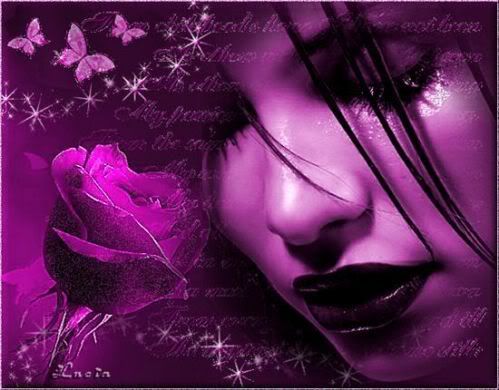 Roses Purple
