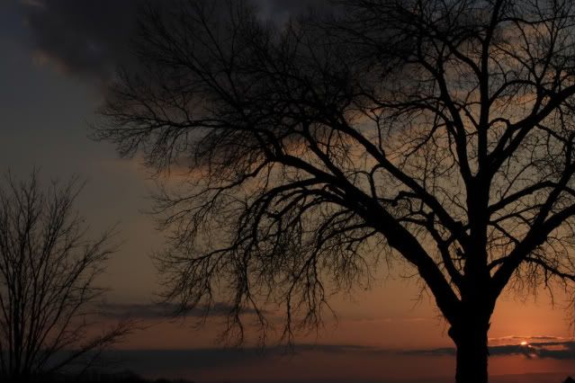 IMAGE: http://i217.photobucket.com/albums/cc60/19_jesse/032-2-1.jpg