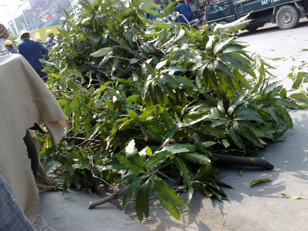 Buồn nhìu lắm có 1 ký ức khó wên - 1