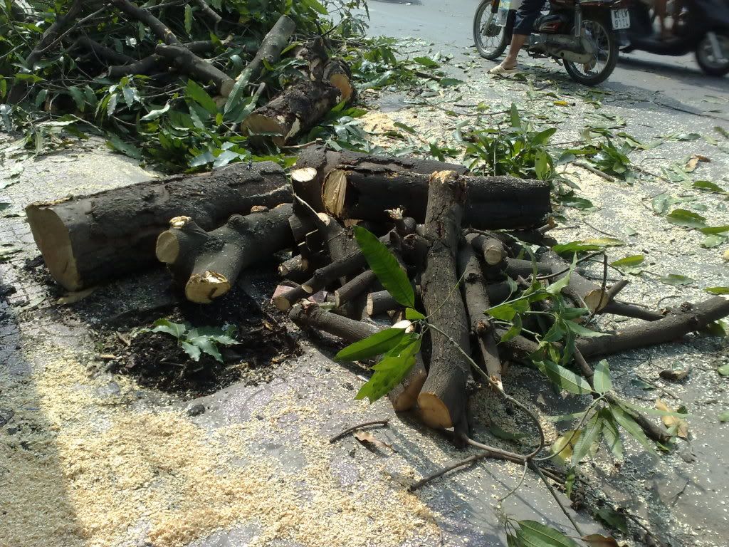 Buồn nhìu lắm có 1 ký ức khó wên