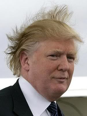 donald trump jr hair. donald trump hair blowing in