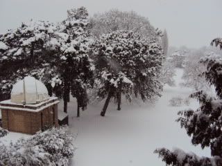 DSC00150.jpg