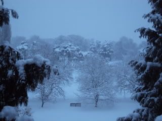 DSC00151.jpg