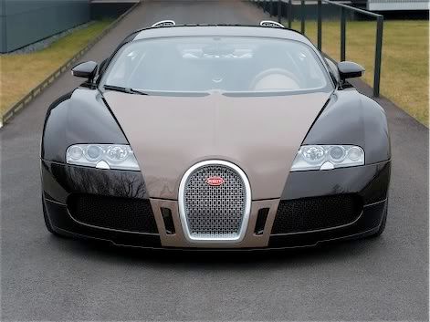 http://i217.photobucket.com/albums/cc82/Dalana_Notafji/Gifs/Cars/1Bugatti-Veyron-2008-Fbg-par-Hermes.jpg