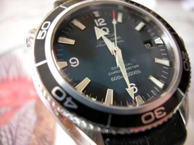 DSCN5127.jpg