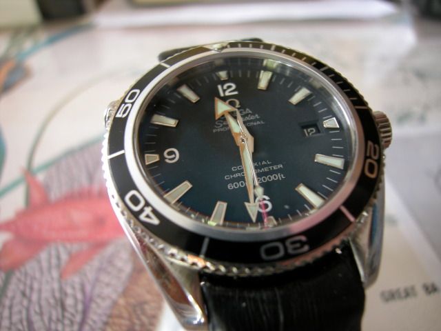 DSCN5129.jpg