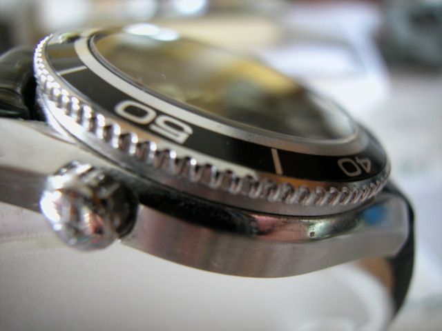 DSCN5130.jpg
