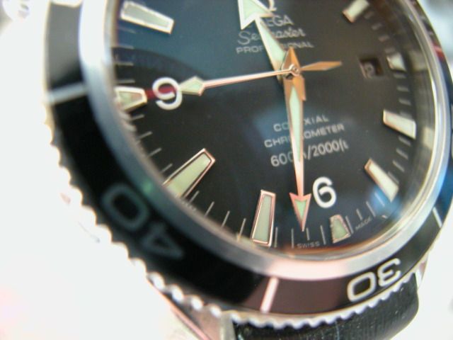 DSCN5135.jpg