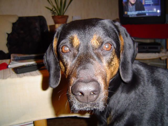 DSC02851.jpg