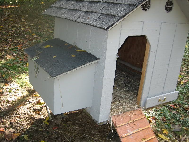 Dog House Chicken Co-op