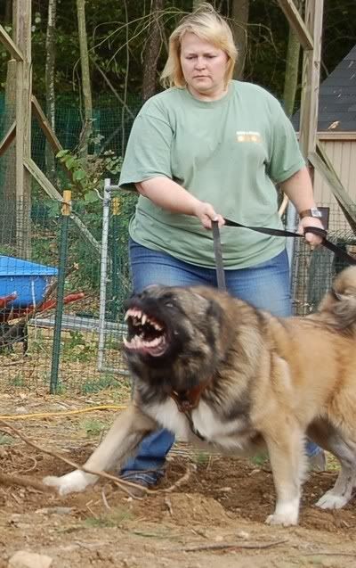 [Image: Nurem-09302006-01.jpg]