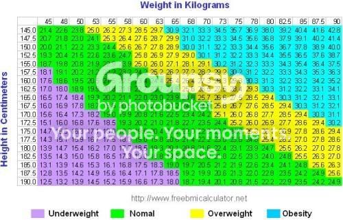BMI - Body Mass Index
