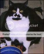 Photo Sharing and Video Hosting at Photobucket