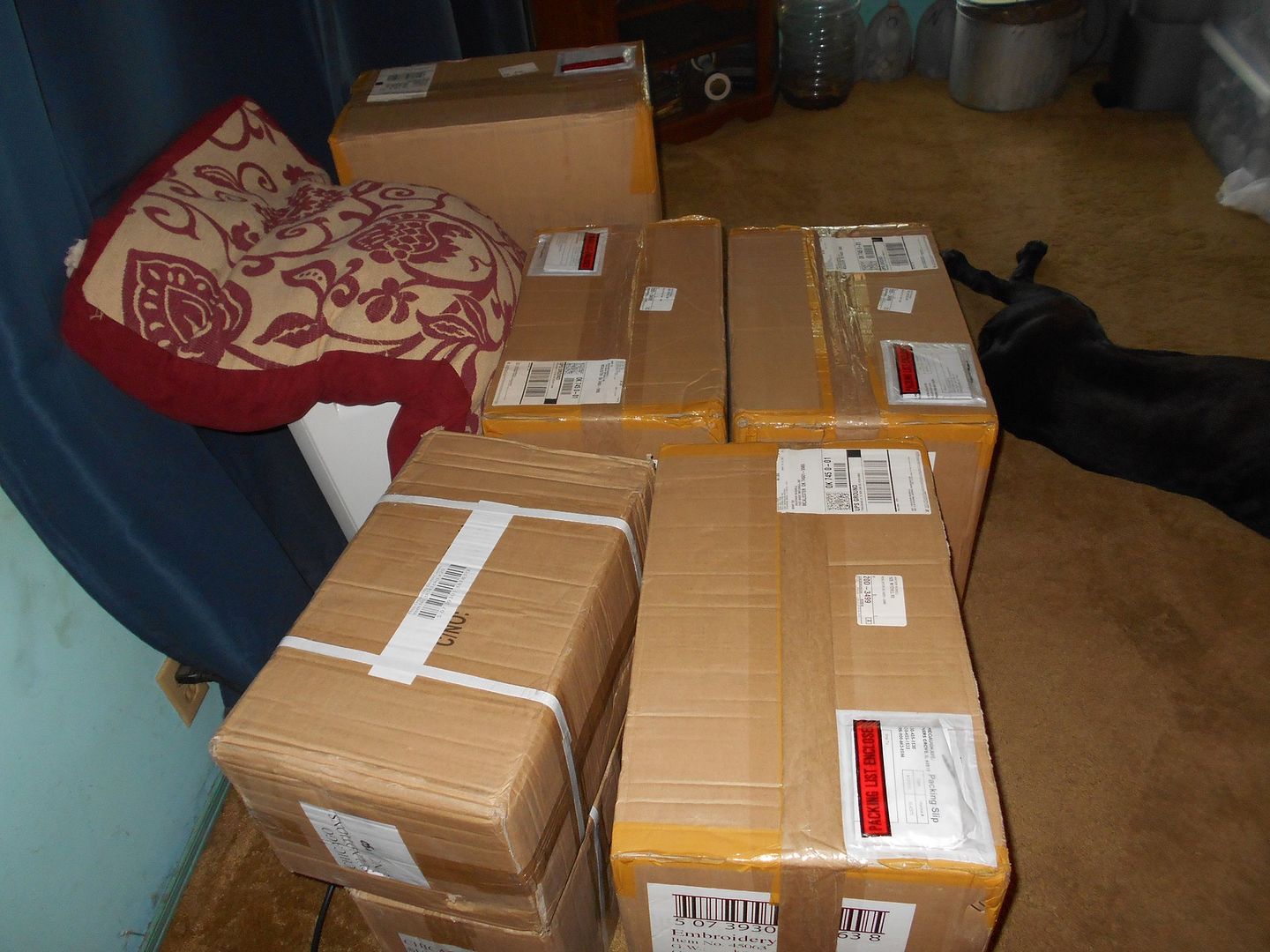 photo Floss Received August 14th_zpswajbl9h4.jpg