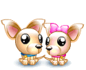 dog.gif Chihuahua dogs in Luv image by adrienne_0610